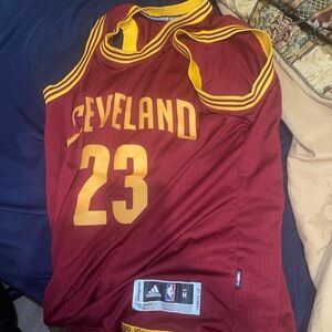 Lebron James Cleveland cavaliers jersey